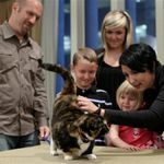 Willow the cat is reunited with the Squires family